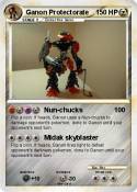 Ganon Protector
