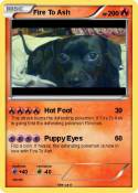 Fire To Ash