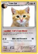 Cute Cat