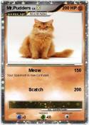 Mr.Pudders