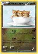 Kitten's in a