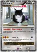 Epic Cat