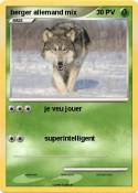 berger allemand