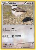 a killdeer