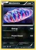 Mitochondria