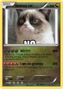 Grumpy cat