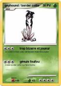 geyhound /