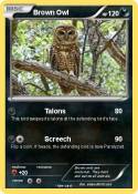 Brown Owl