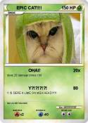 EPIC CAT!!!!