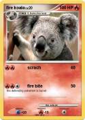 fire koala
