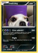 Crack dog