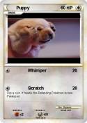 Puppy
