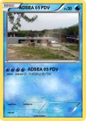 ADSEA 05 FDV
