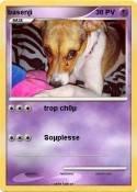 basenji
