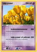 tulip power!