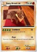 Baby Bread cat