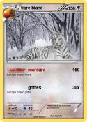 tigre blanc