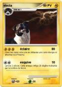 electa