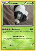 Cute puppy