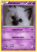 KittenBirman