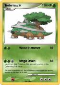 Torterra