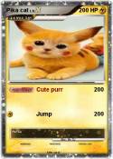 Pika cat