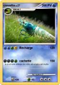 crevetta