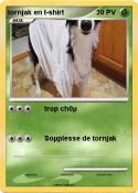 tornjak en t-sh