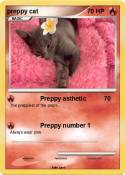 preppy cat