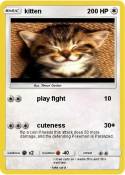kitten