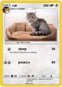 cat
