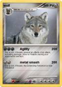 wolf