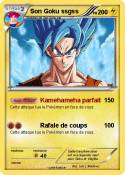 Son Goku ssgss