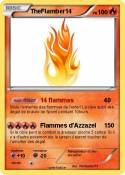 TheFlamber14