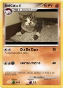 BullCat