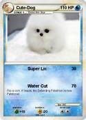 Cute-Dog