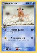 Crevette Souhil