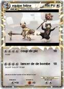 equipe feline