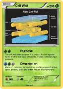 Cell Wall