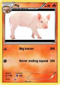 Pig