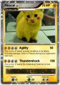 Pikacat