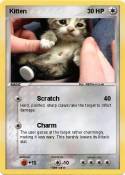 Kitten