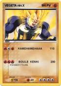VEGETA niv.X 1