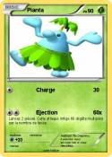 Pianta