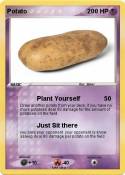 Potato