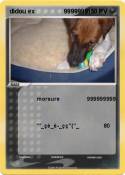didou ex 999999