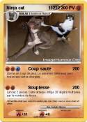 Ninja cat 11222
