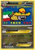 tacos cat