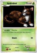 Spottedleaf
