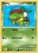 Turtwig